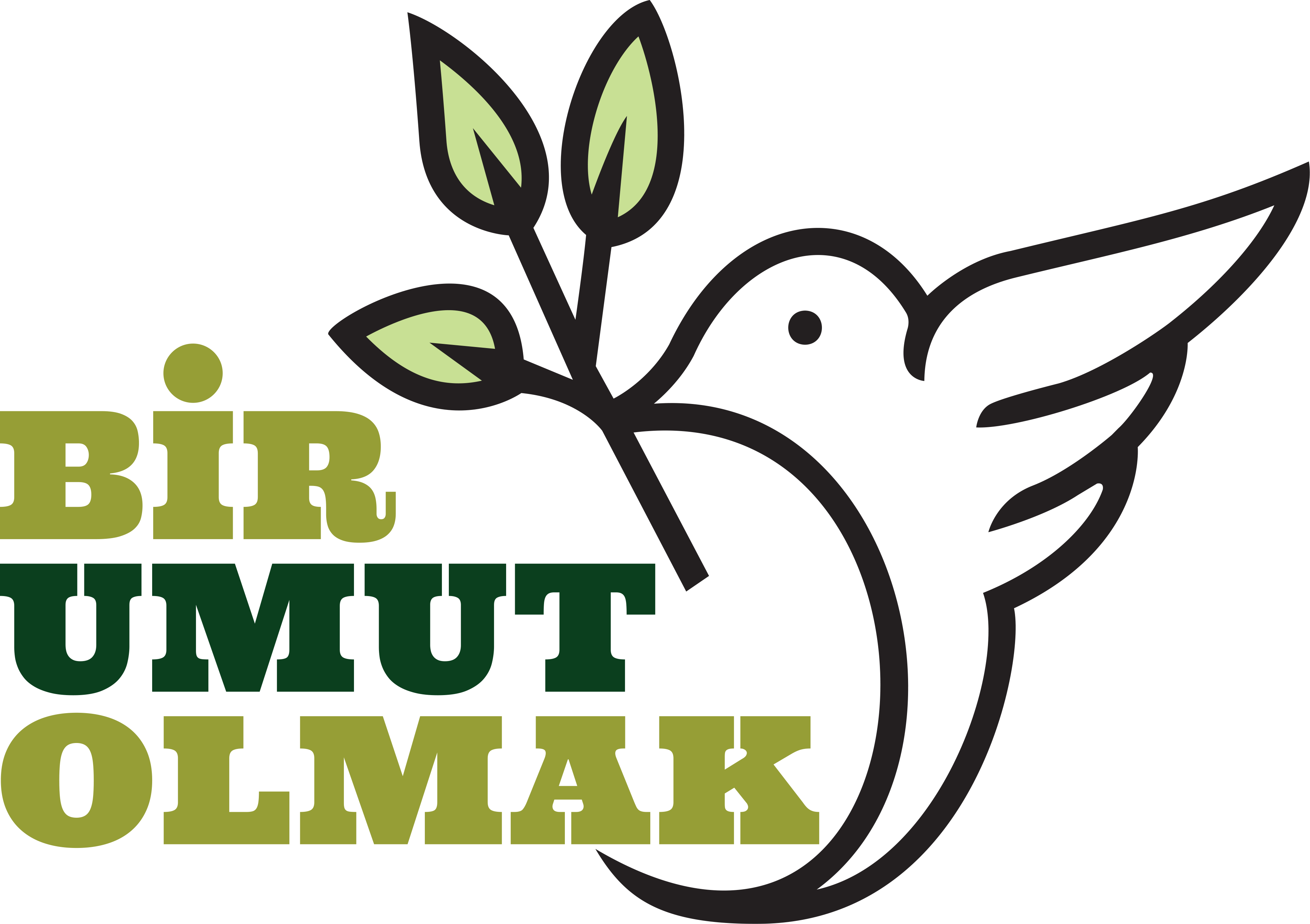 bir-umut-olmak-logo